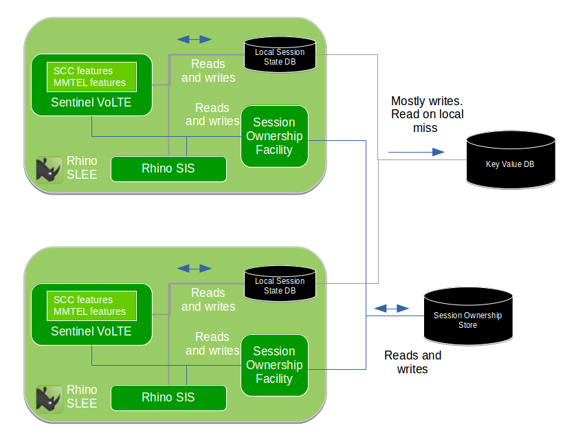 rhino kv and session ownership